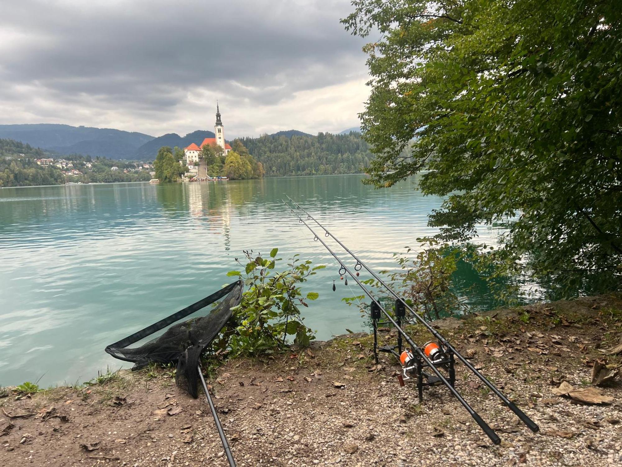 4 Elements Glamping & Apartments Bled Extérieur photo
