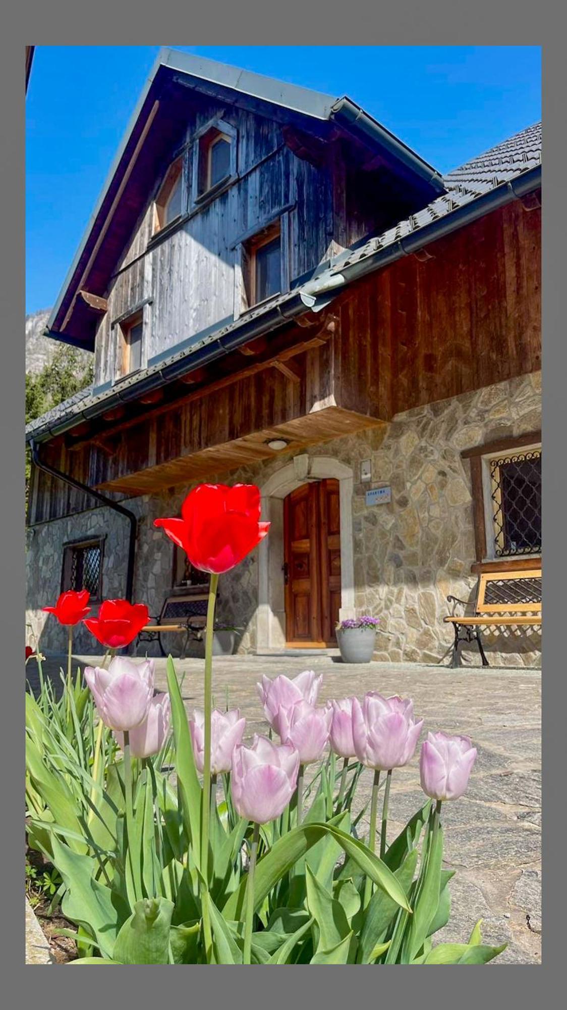 4 Elements Glamping & Apartments Bled Extérieur photo