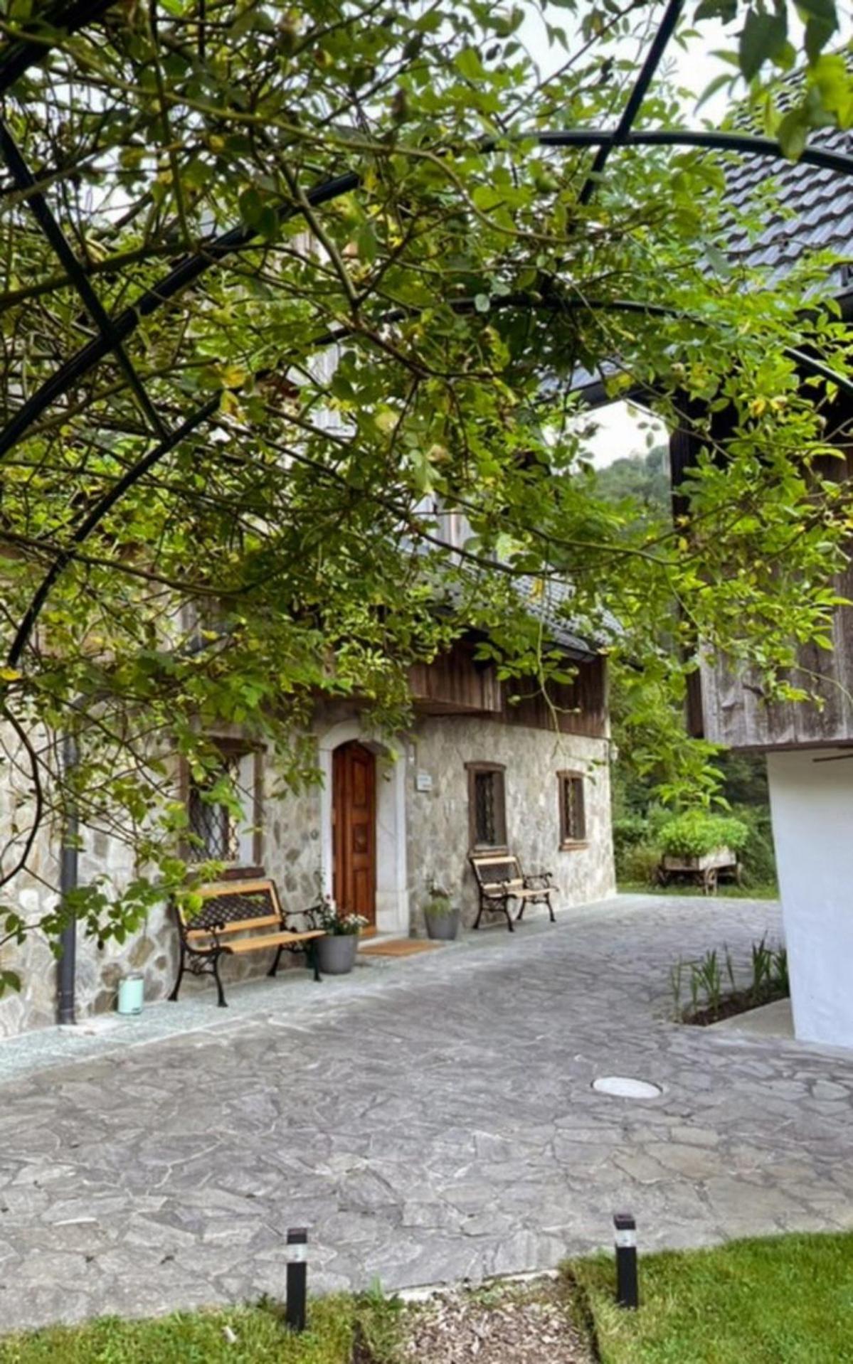 4 Elements Glamping & Apartments Bled Extérieur photo