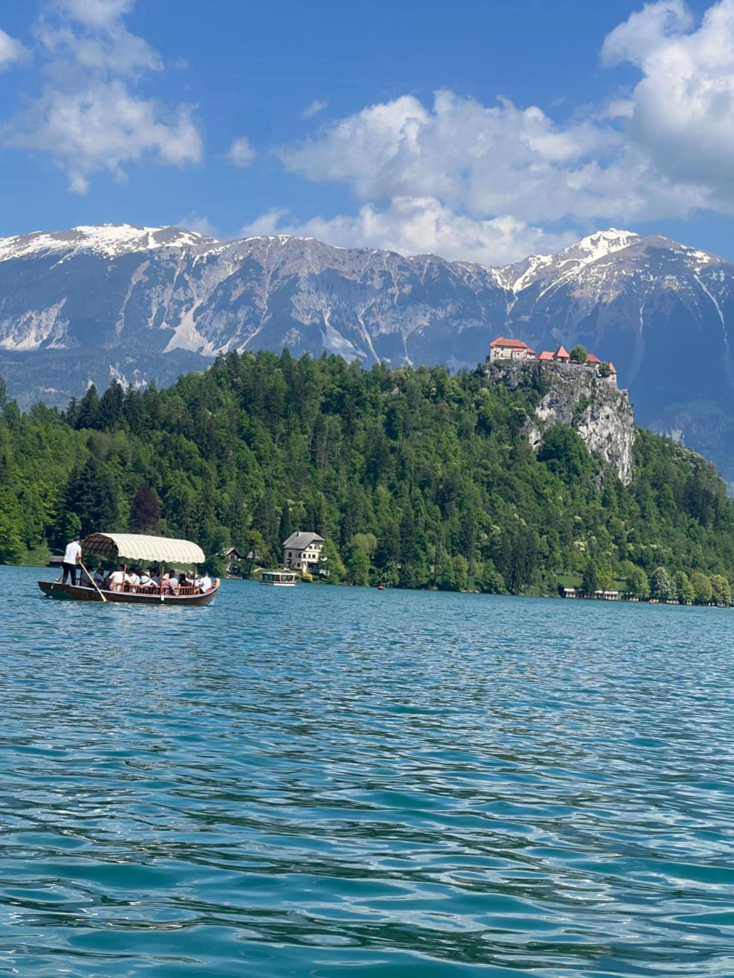 4 Elements Glamping & Apartments Bled Extérieur photo